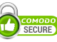 Secured Website Seal
