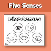 Five Senses Coloring Page