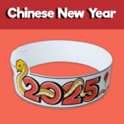 2025 Year of the Snake Headband Craft