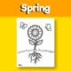 sunflower growth coloring for beginners