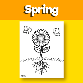 sunflower growth coloring for beginners