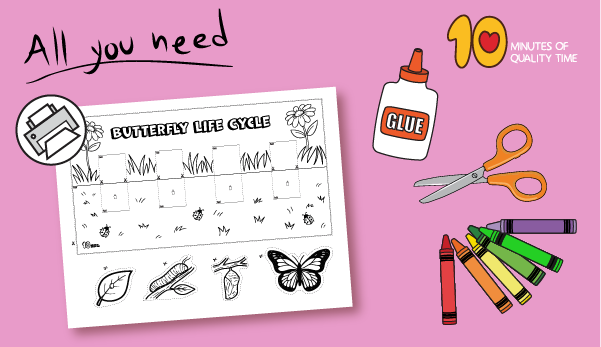 printable butterfly life cycle craft