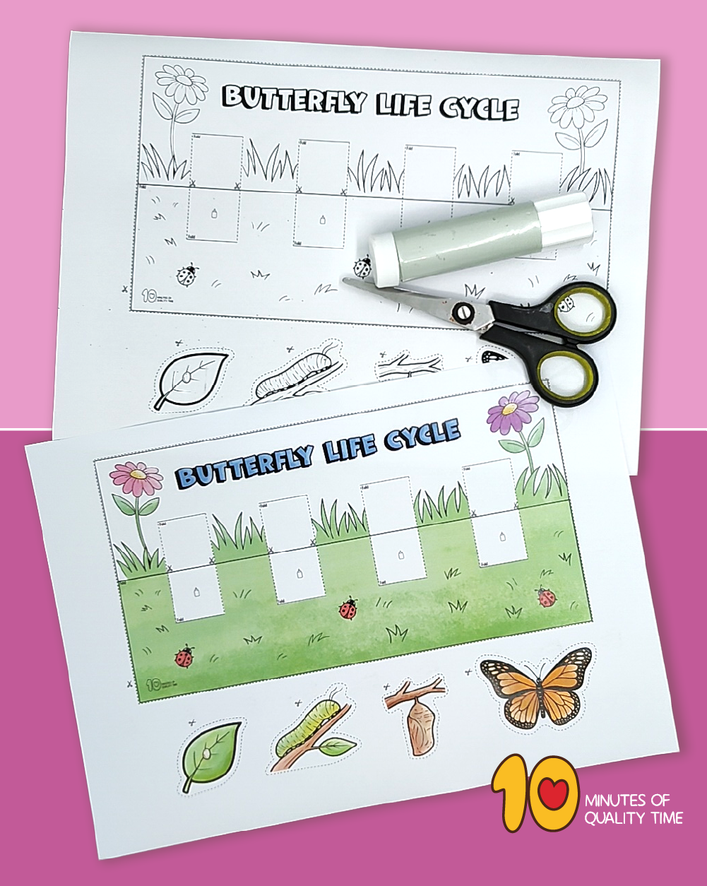 3d Butterfly Life Cycle Paper Craft