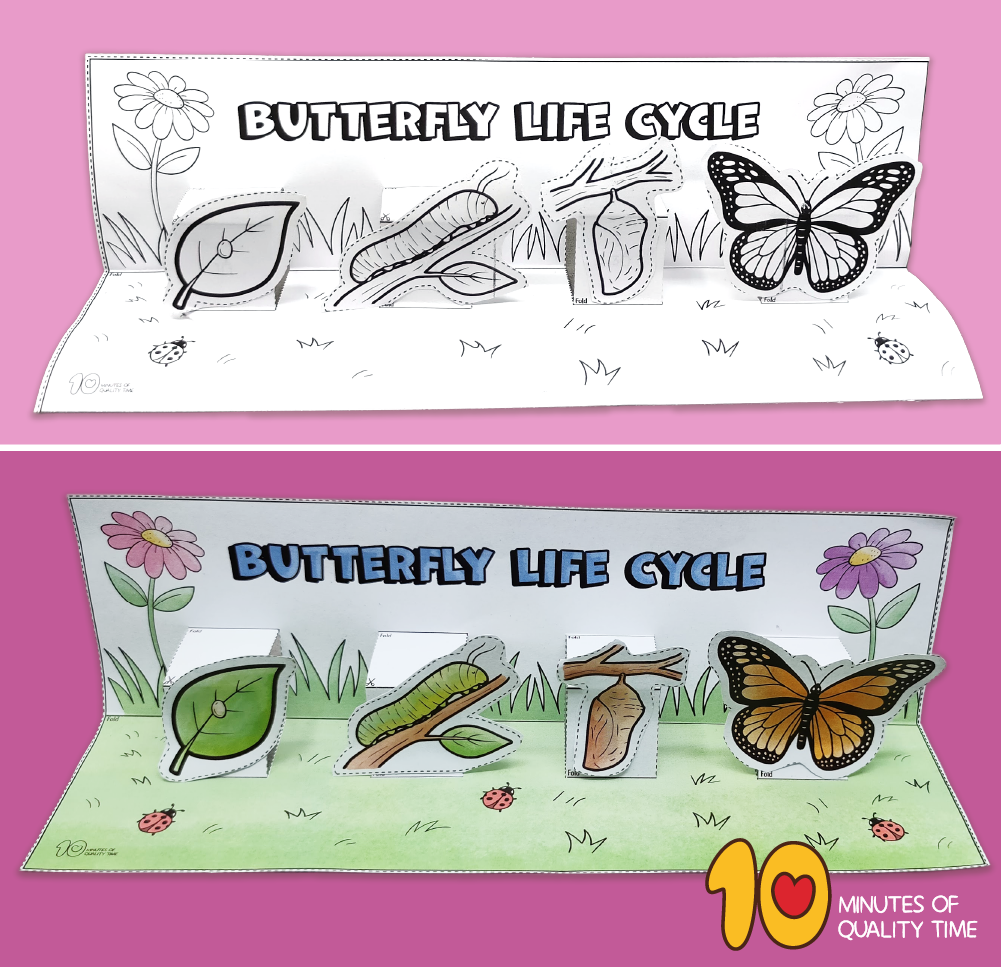 Butterfly Life Cycle craft for kids