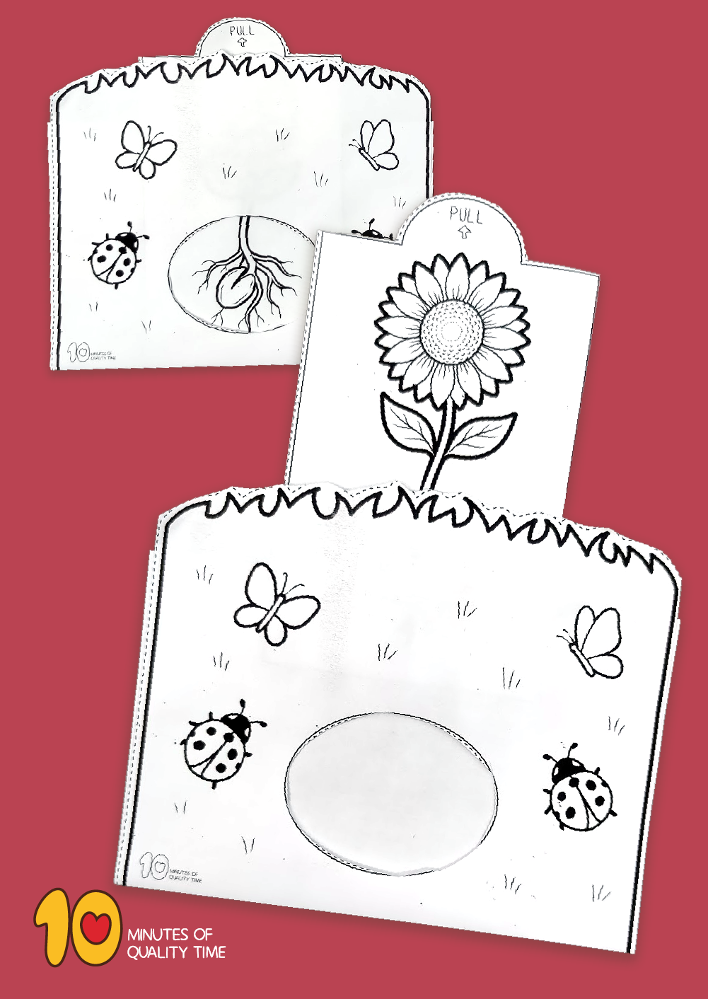 sunflower growth crafts