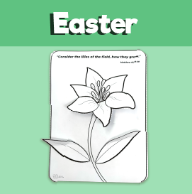 Lilies of the Field 3D Craft