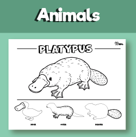 Platypus coloring page printable