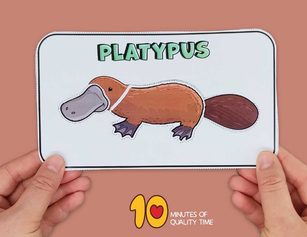 Platypus craft ideas