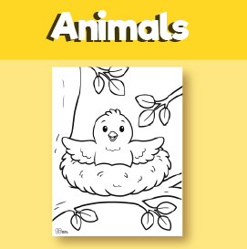 bird coloring sheets