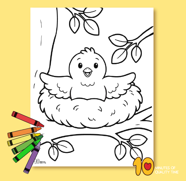 Baby Bird in nest pictures