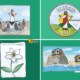 Sermon on the Mount Bible crafts featuring Jesus teaching, the Beatitudes, lilies of the field, wise and foolish builders, and a free Matthew 5:16 coloring page